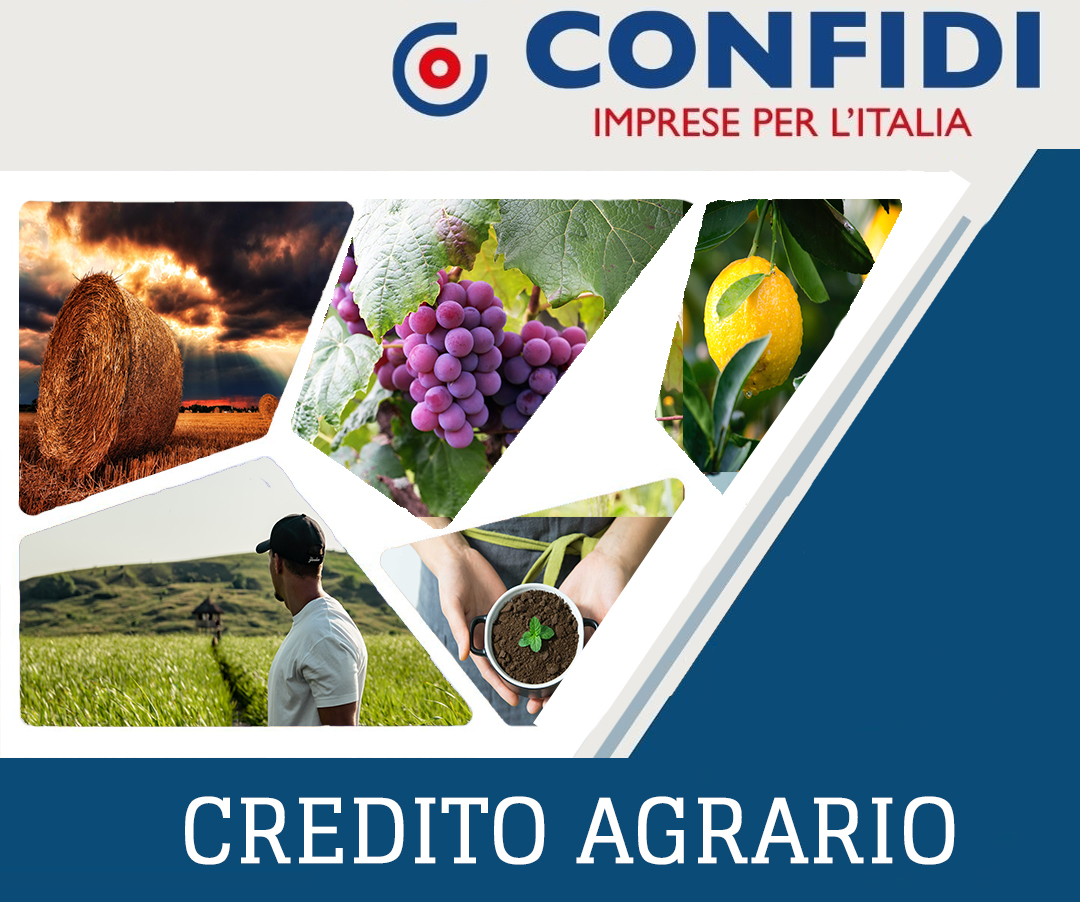 Credito Agrario Confidi Imprese per l'Italia finanziamenti pmi agricoltura
