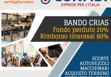 Finanziamenti Agevolati Artigiani CRIAS